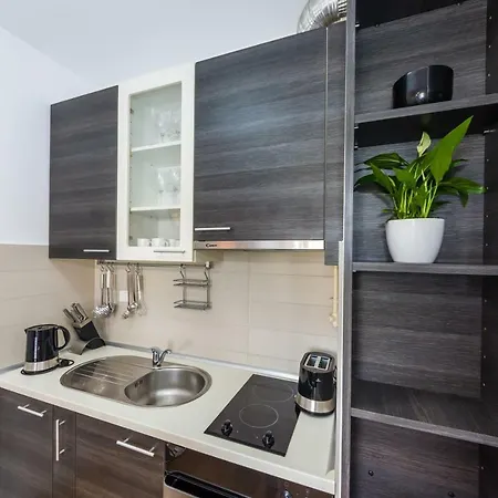 K & K With Free Garage 公寓 扎达尔